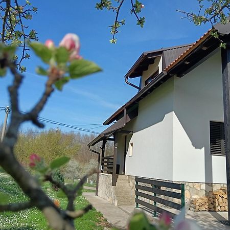 Apartman Sveti Rok Eksteriør billede