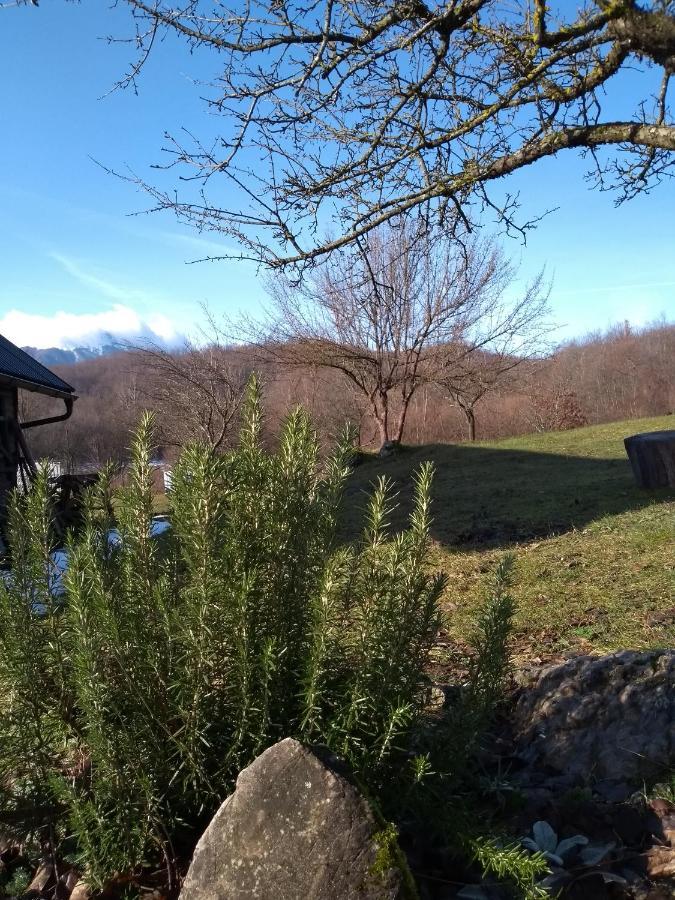 Apartman Sveti Rok Eksteriør billede